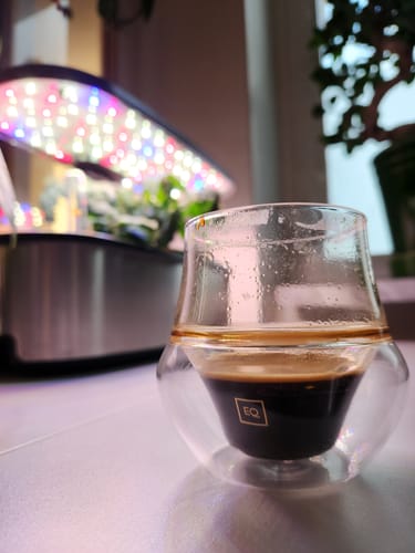 Customer photo review of PROPEL Espresso Glass Set