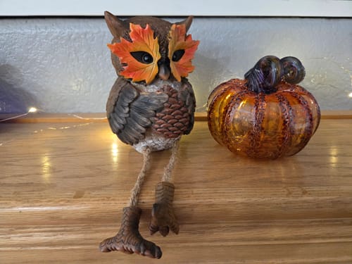 Customer photo review of October Breeze Squat Pumpkin