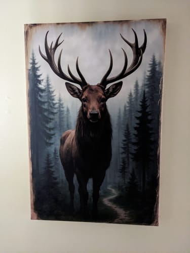 Customer photo review of Majestic Morning Light Stag Wall Art