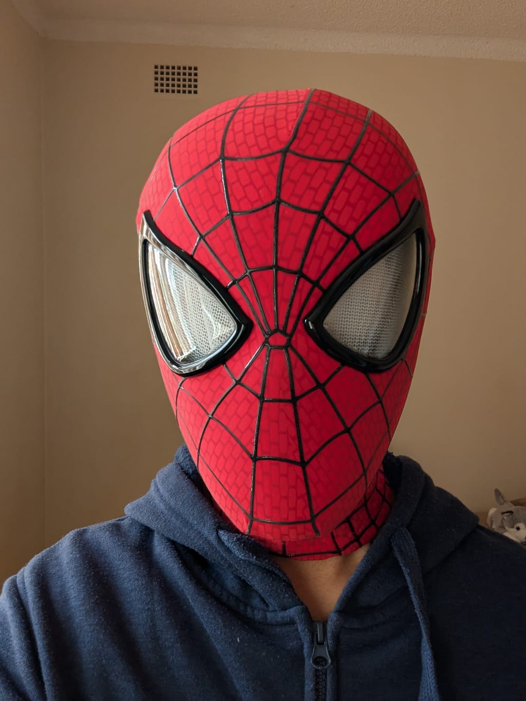 Customer photo review of The Amazing Spider-Man 2 Wearable Mask