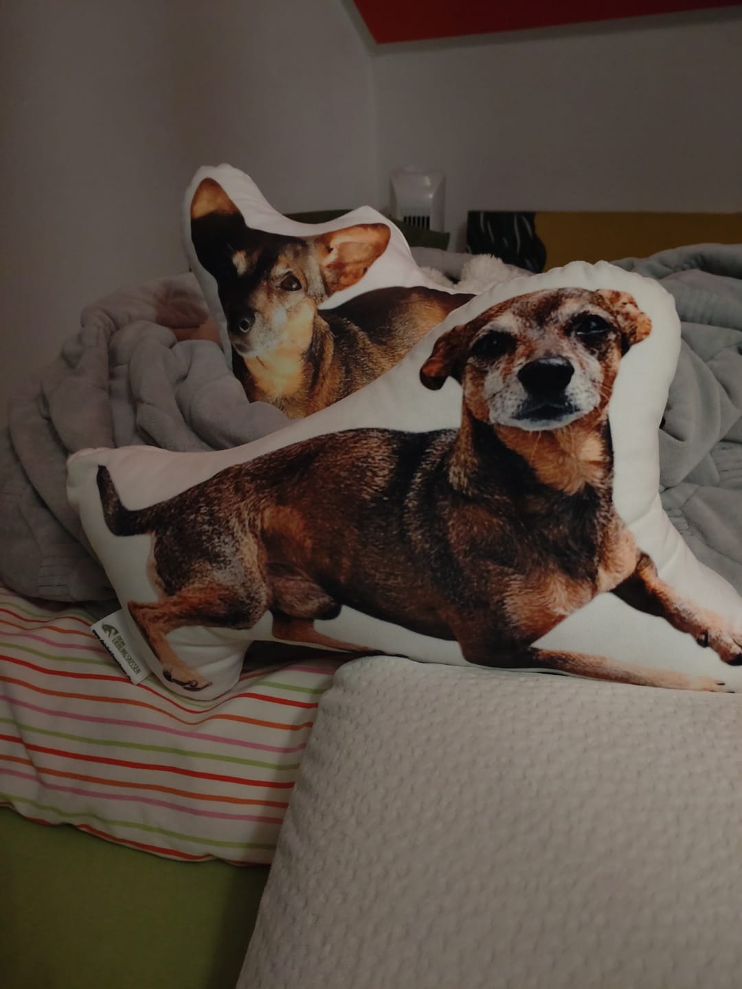 Customer photo review of Personalisiertes Hundekissen
