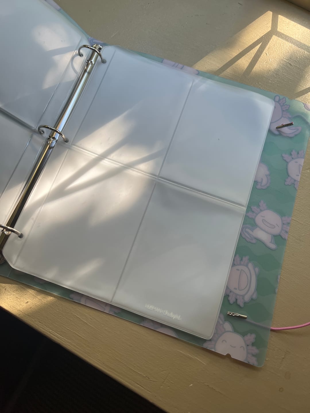Customer photo review of Medium Storage Pockets