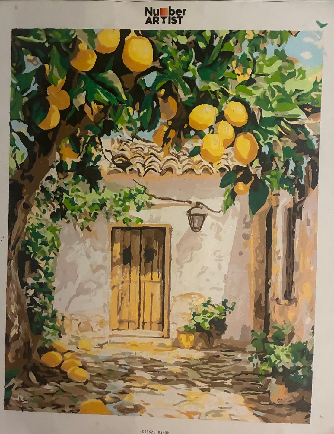Customer photo review of Lemon Yard