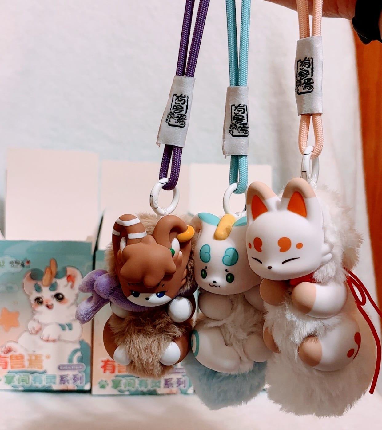 Customer photo review of Fabulous Beasts Palm Have Spirit Series Plush Blind Box