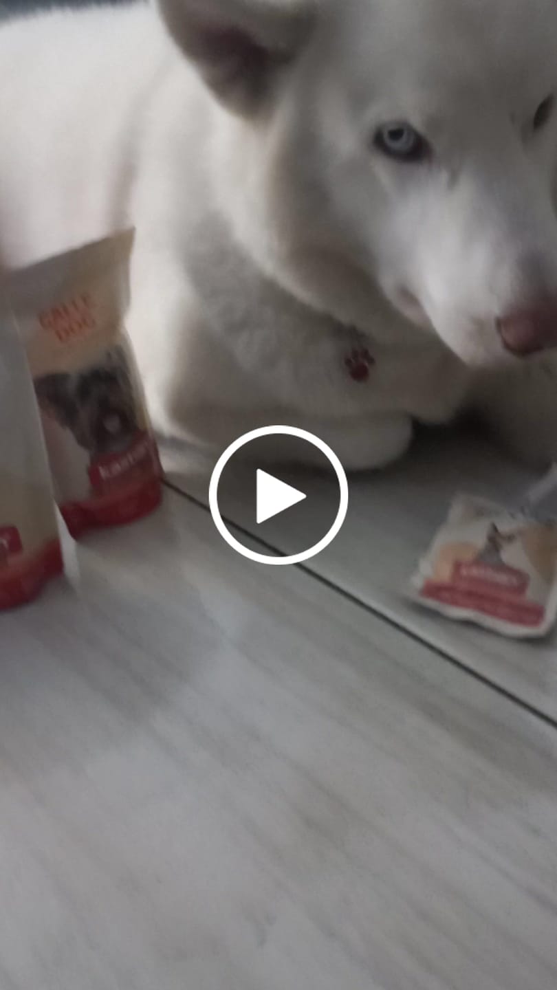 Customer video review of Palitroques tocino y avena 150g