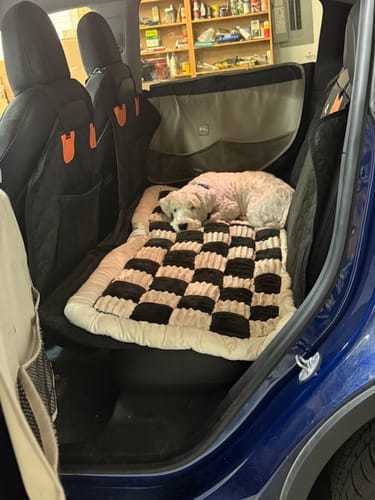 Customer photo review of RuffRover 2.0™ - Hard Bottom Back Seat Extender + (FREE Dog Bed)