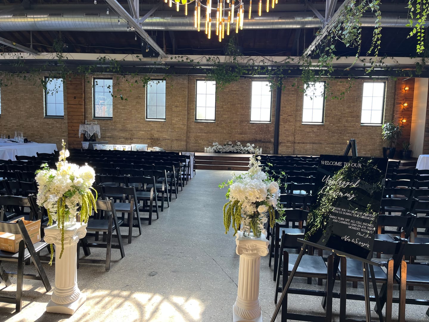 Customer photo review of Hanging Green Amaranthus