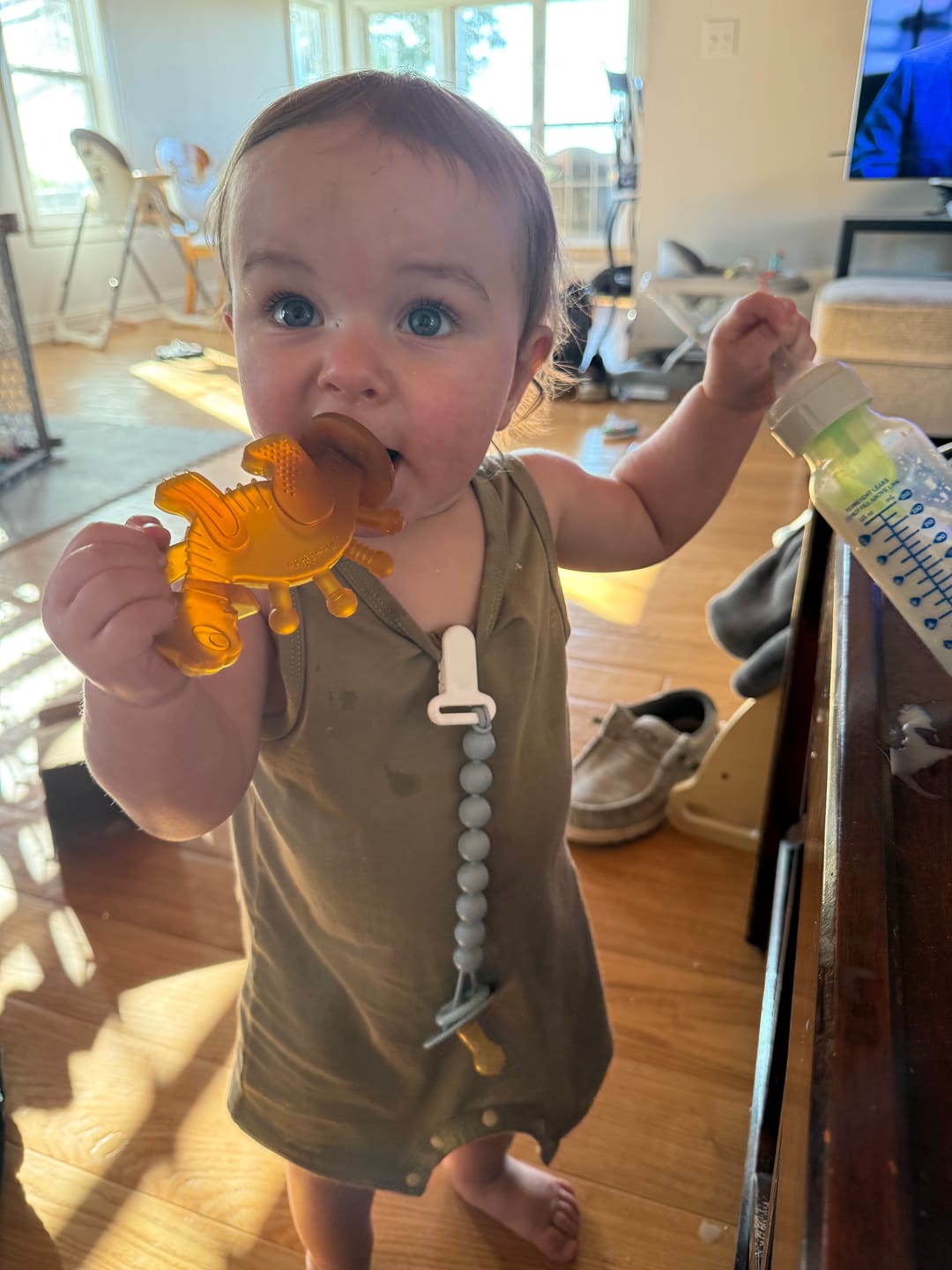 Customer photo review of Dibly Amber - Baltic Amber & Natural Rubber Dinosaur Teether with Toothbrush Tail