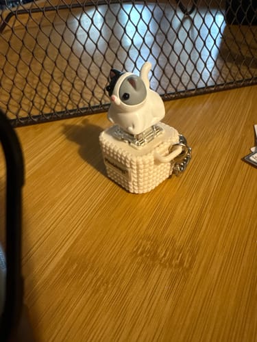 Customer photo review of Meowkey - Fidget Toy that Meows!