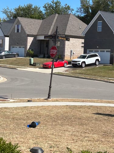 Customer photo review of GCI Turf Spreader Elite Grass Seed