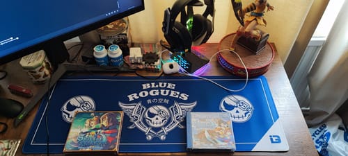 Customer photo review of Blue Rogues Air Pirates