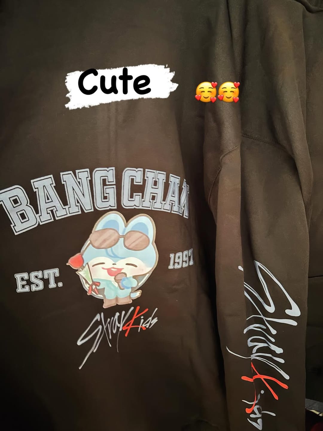 Customer photo review of KPOP Dominate Cartoon Printed Zipper Hoodie