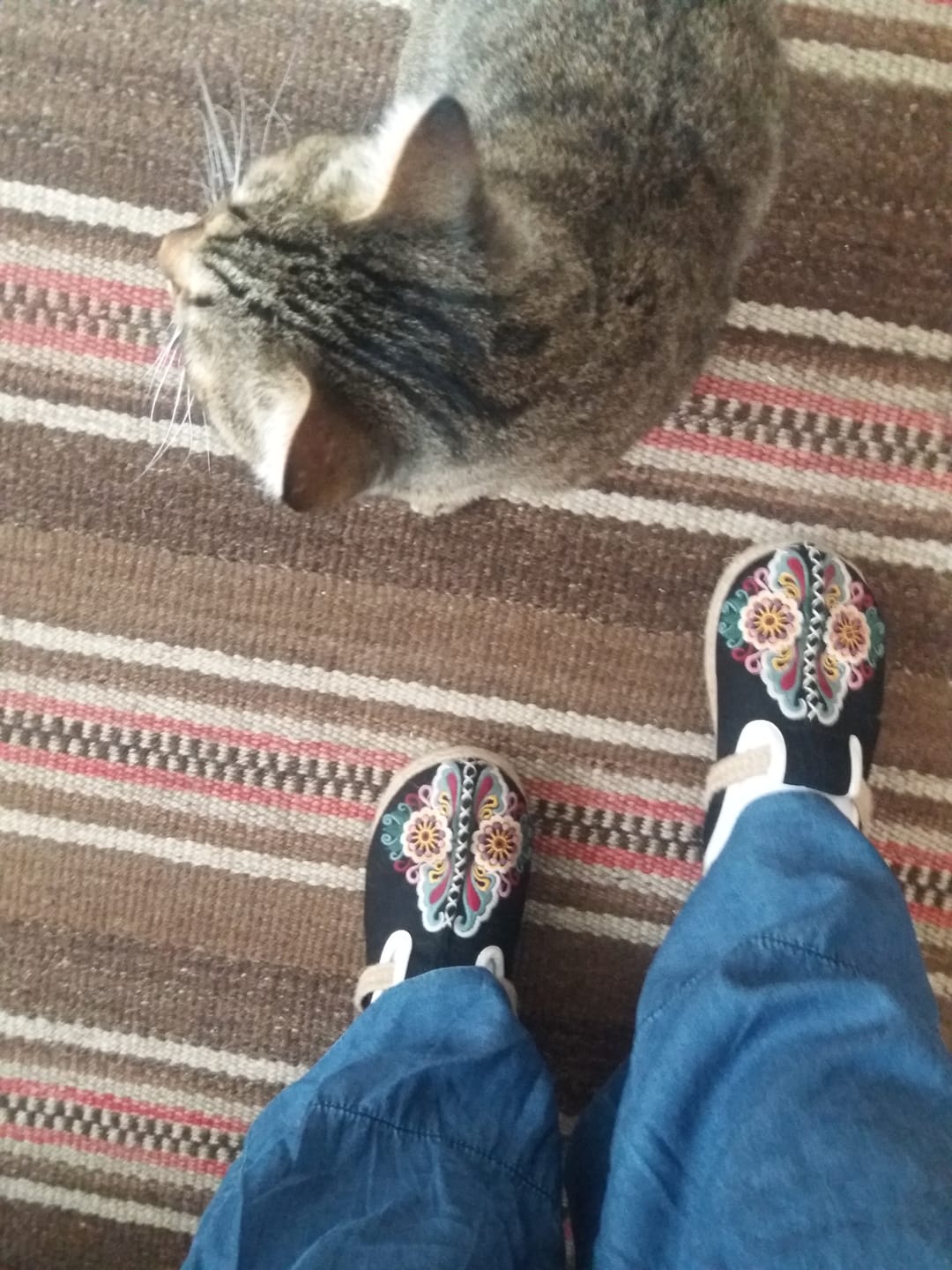 Customer photo review of Women Retro Embroidered Casual Floral Shoes