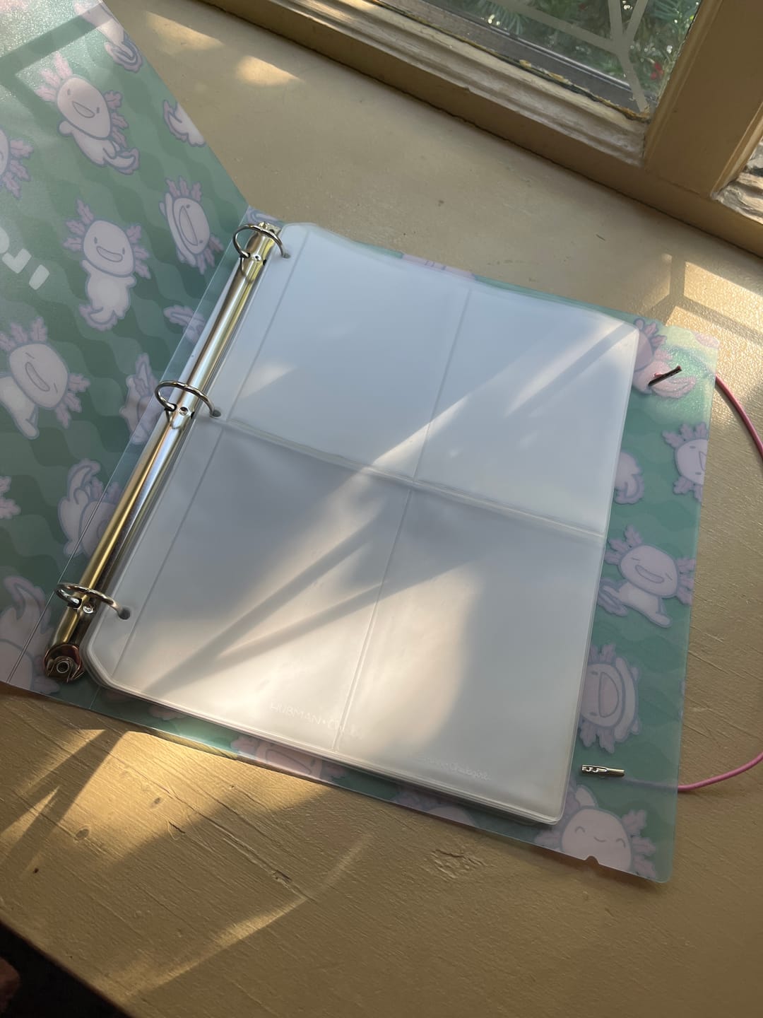 Customer photo review of Medium Storage Pockets