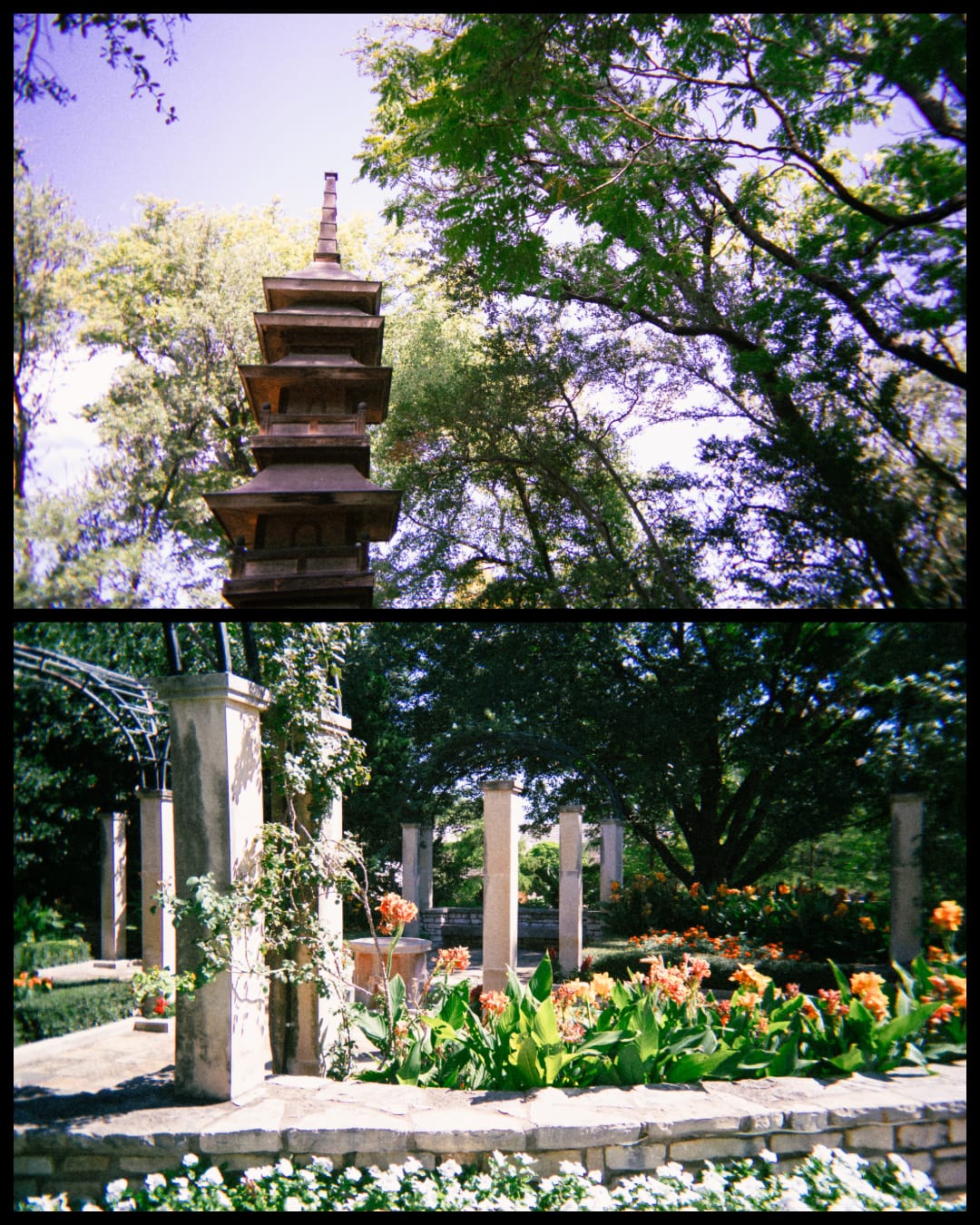 Customer photo review of Film Simulation Preset Pack (Digital Download)