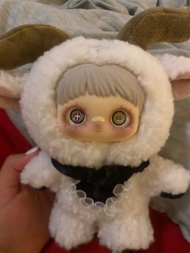 Customer photo review of Shipping Protection