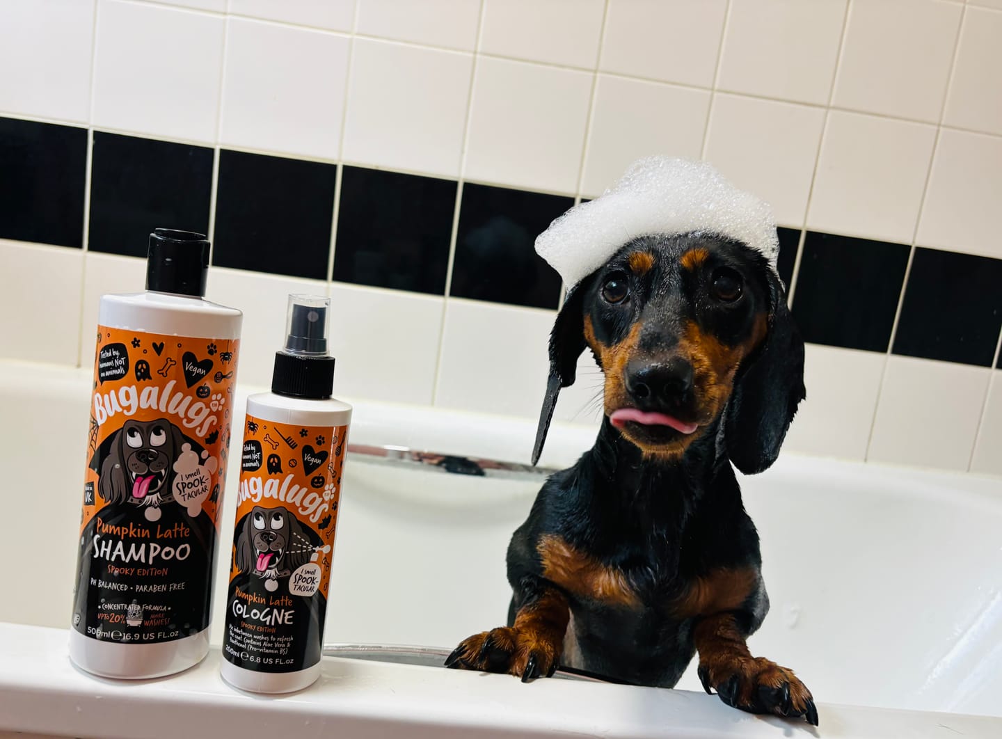 Customer photo review of Spooky Edition: Pumpkin Latte Bundle (Shampoo + Cologne)