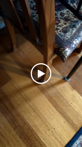 Customer video review of Groovy Flex Silicone Felt Chair Leg Protectors | Stretchy Edition