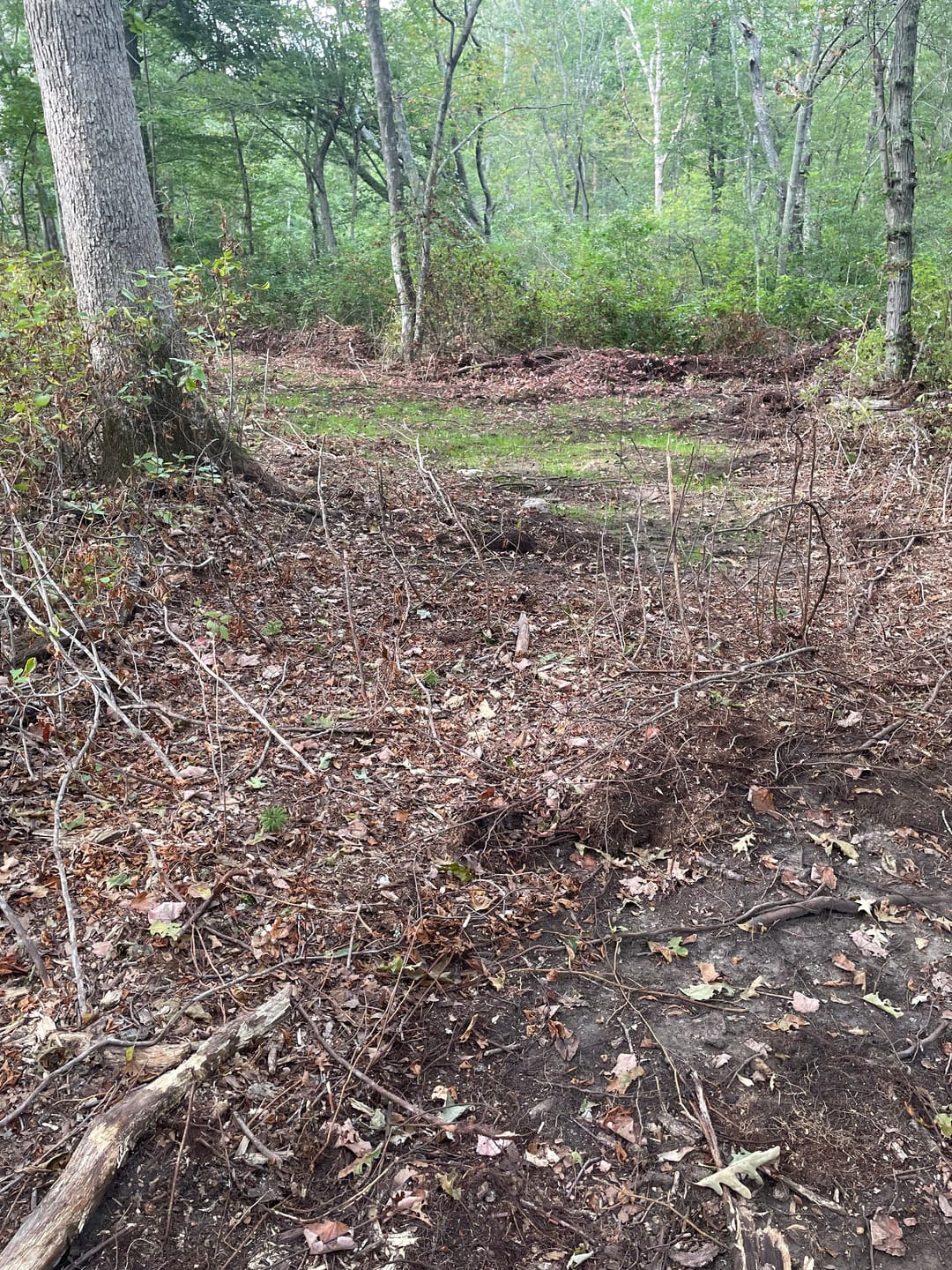 Customer photo review of No Plow No Problem