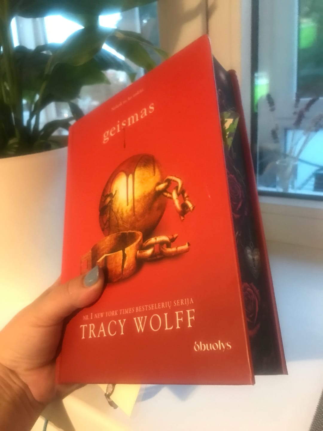 Customer photo review of Geismas: Nr. 1 New York Times bestselerių serijos troškimas trečioji dalis (kolekcinis leidimas, vėliau brangs!)