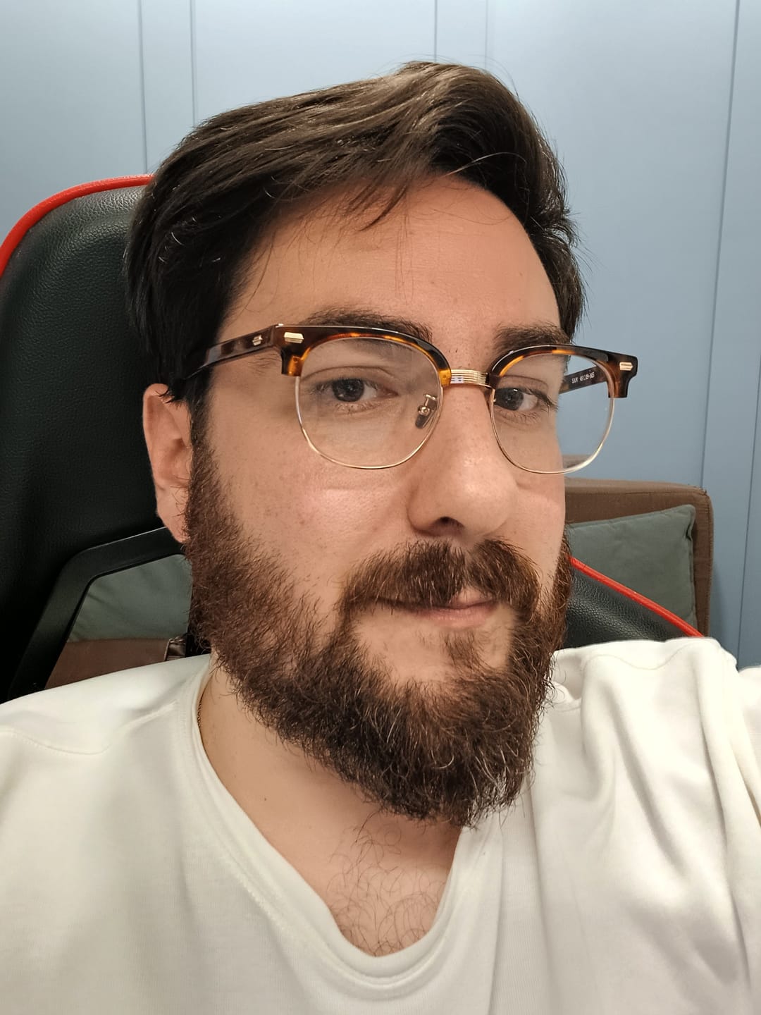 Customer photo review of San