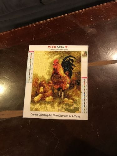 Customer photo review of Chicken Family