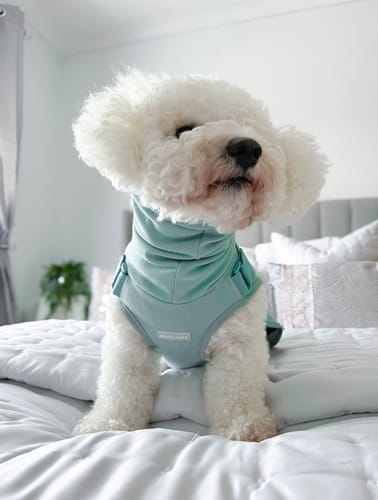 Customer photo review of Anxiety Calming Suit - Teal