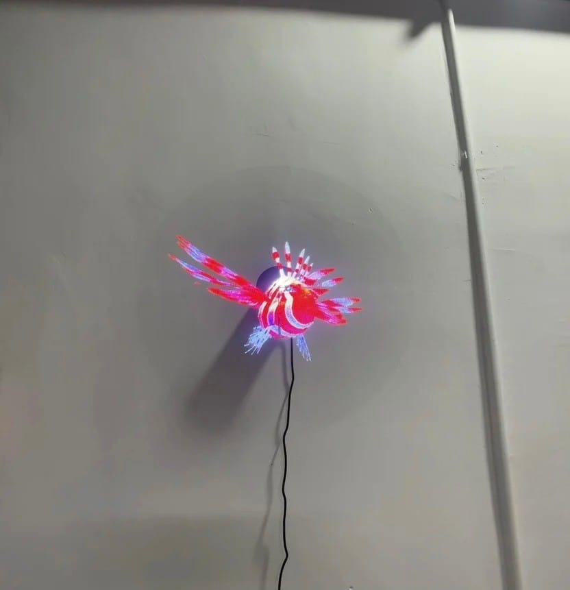 Customer photo review of HoloX-Pro - 3D Holographic Display