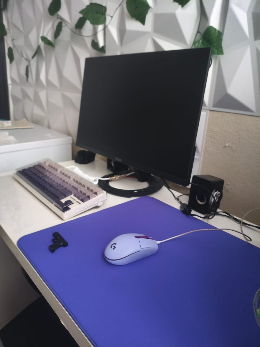 Customer photo review of ESPTiger Tang Dao SR Mousepad