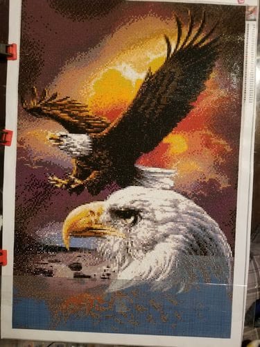 Customer photo review of American Eagle