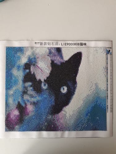 Customer photo review of Violet Cat