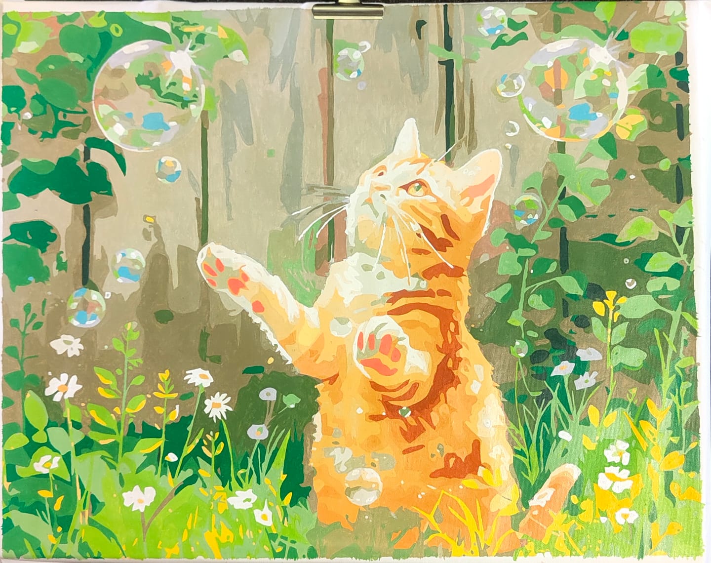 Customer photo review of Cat & Bubbles