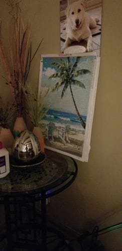 Customer photo review of Island Vacation