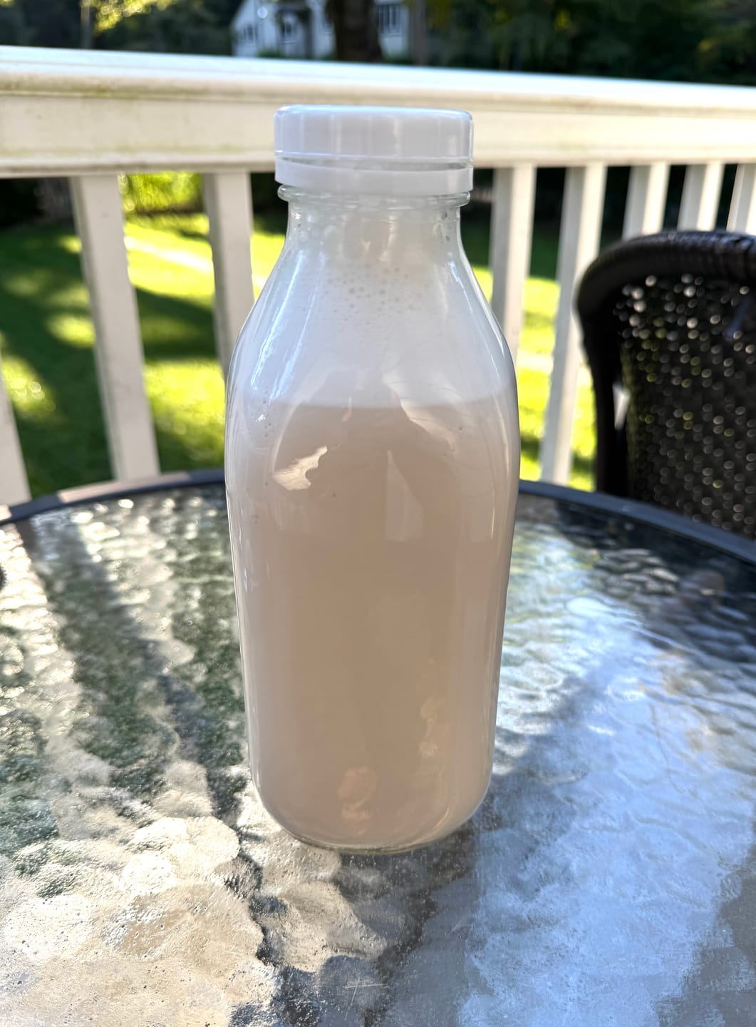 Customer photo review of Nut Milk / Sprouting Bag