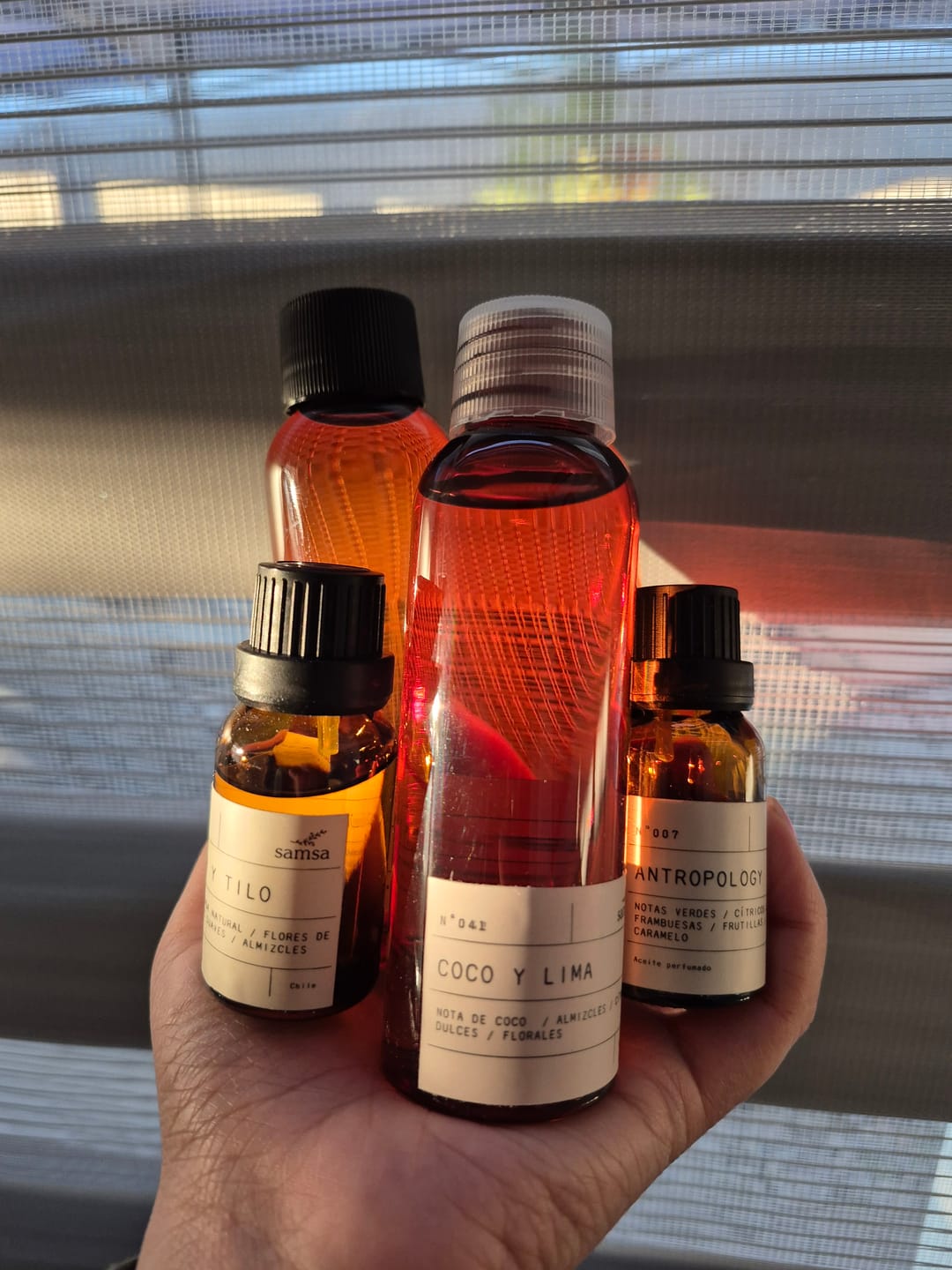 Customer photo review of 2 - Lima Verbena