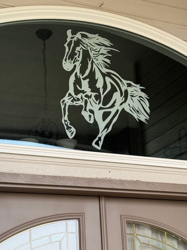 Customer photo review of Galloping Horse  Wall Art