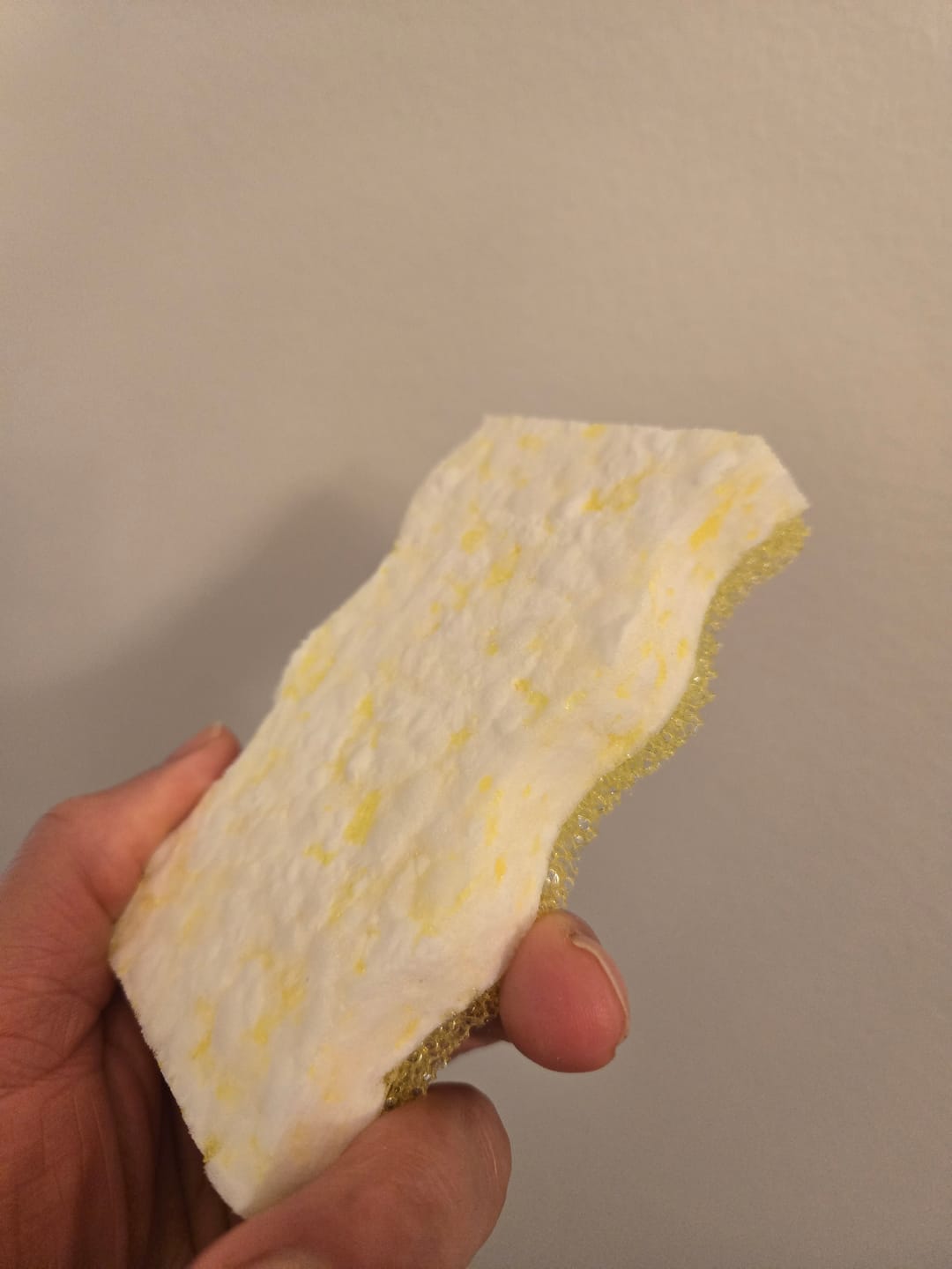 Customer photo review of Eraser Daddy (2PK)