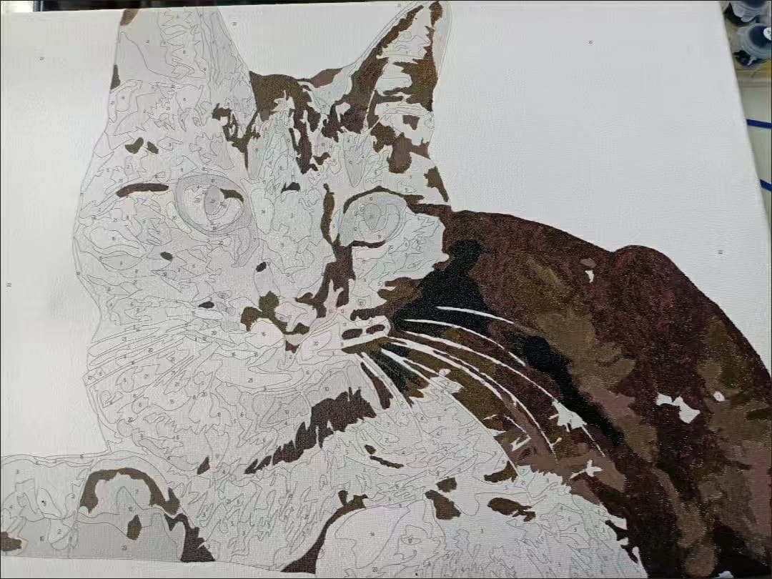 Customer photo review of Custom DIY Pet Painting By Numbers