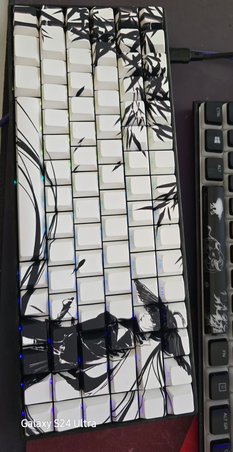 Customer photo review of WLMouse Ying75 CF Klavye (Manyetik Switch / HE)