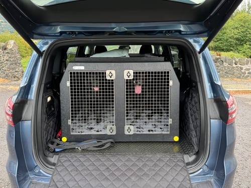 Customer photo review of DT Box | Dog Travel Crate | The DT 3