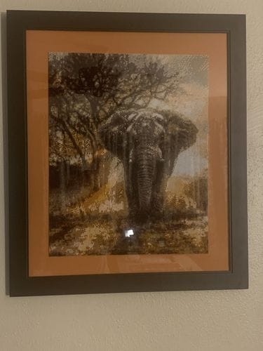 Customer photo review of African Elephant