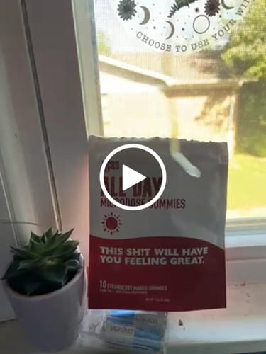 Customer video review of All Day