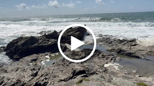 Customer video review of Authentic Epirus Feta PDO – Mediterranean Family Tin 3.5 kg