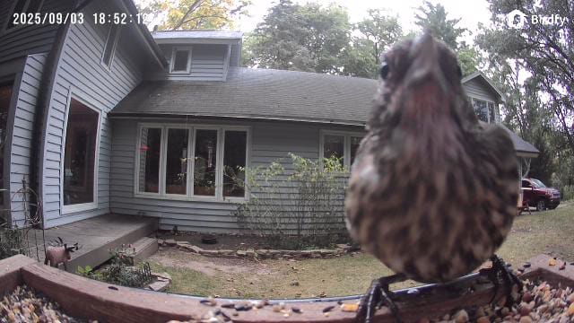 Customer photo review of Birdfy Cam - Versatile Standalone Backyard Birdwatching Camera