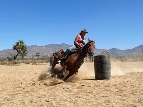 Customer photo review of Aluminum Stirrups ~ Riding on Faith