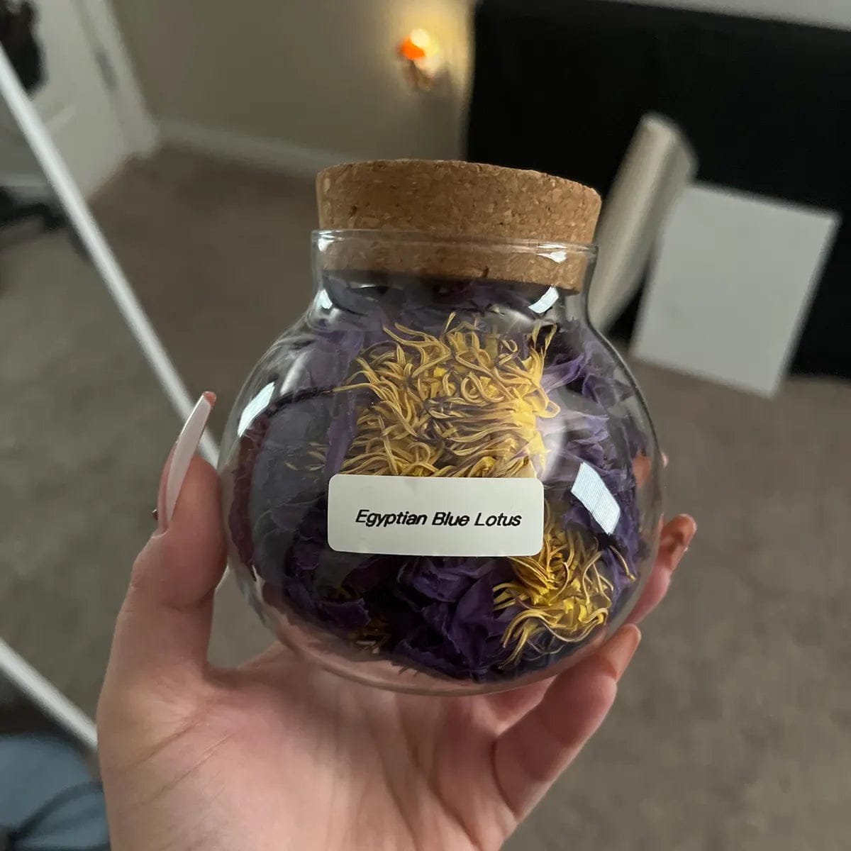 Customer photo review of Organic Blue Lotus Flower