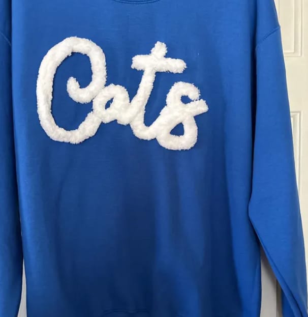 Customer photo review of Custom College Chenille Team Name Embroidered Sweatshirt