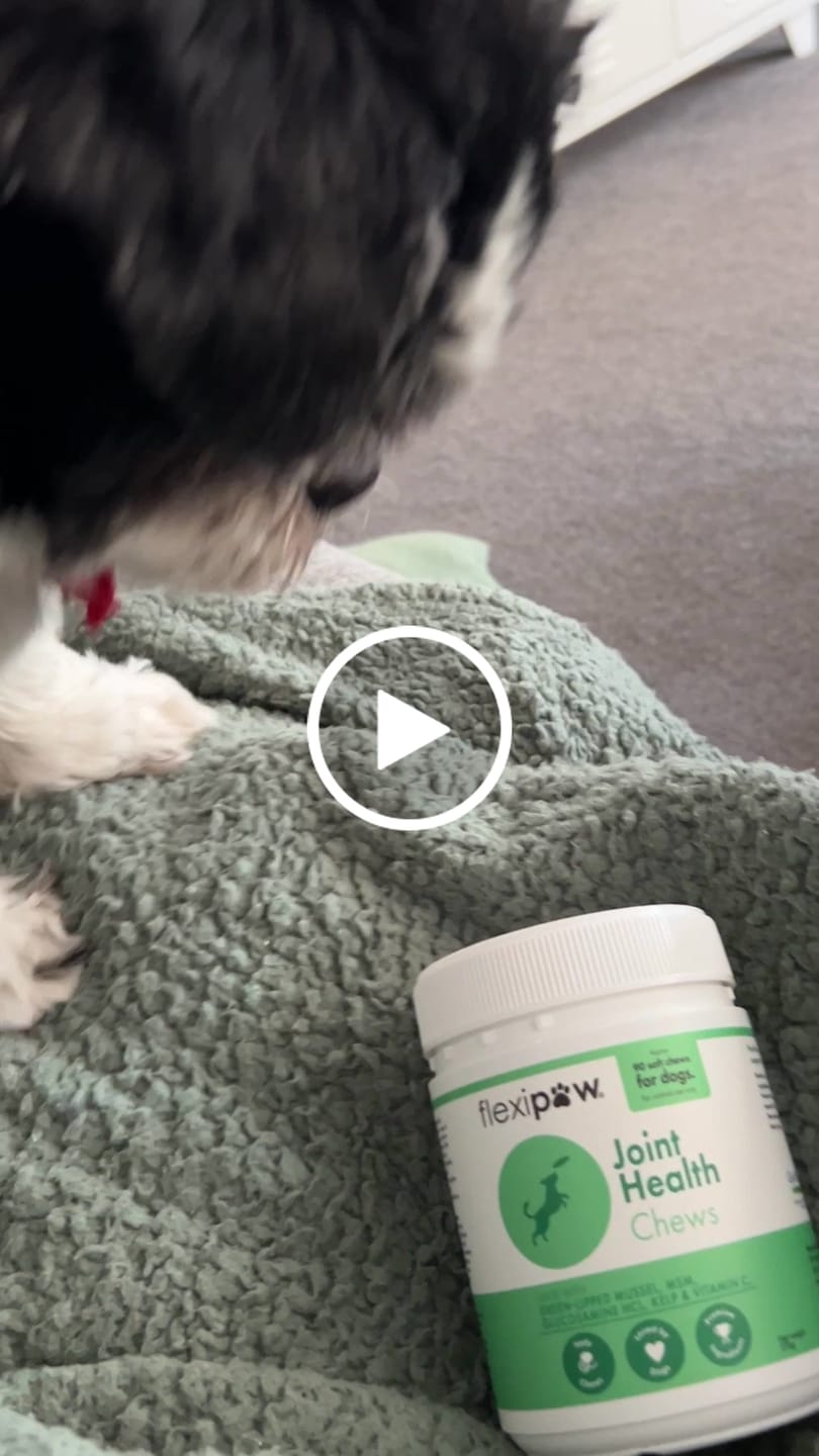 Customer video review of Hip & Joint Health Chews for Dogs