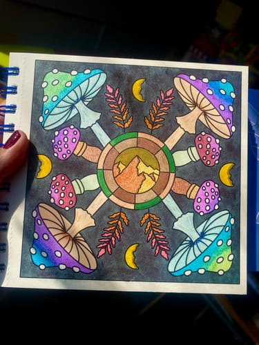 Customer photo review of LIBRO ELEMENTOS