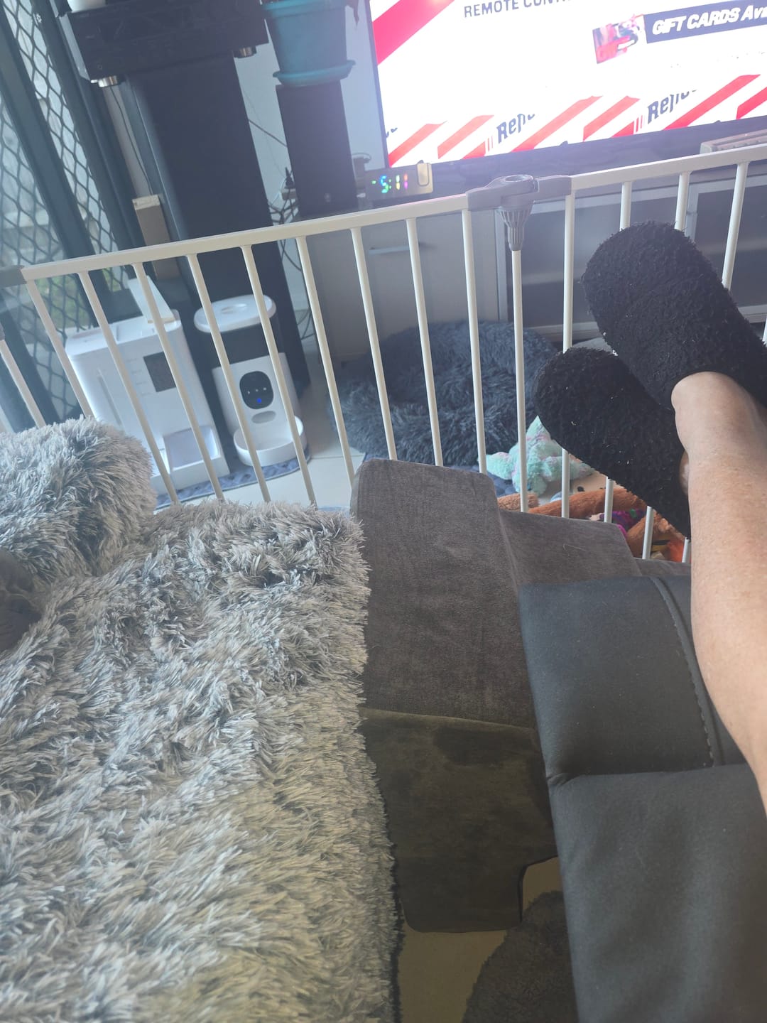Customer photo review of Soft Foam Dog Stairs – Non-Slip Dog Steps for Beds & Couches